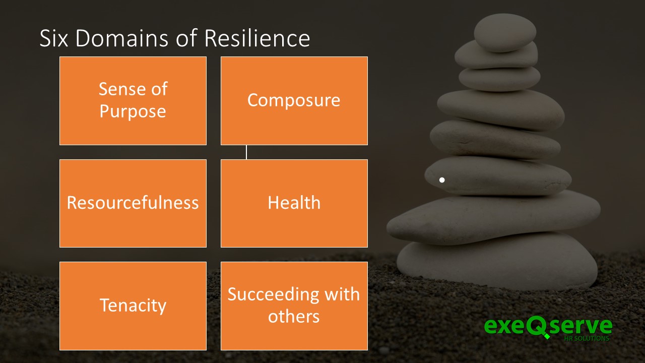 Resilience Building Framework | ExeQserve