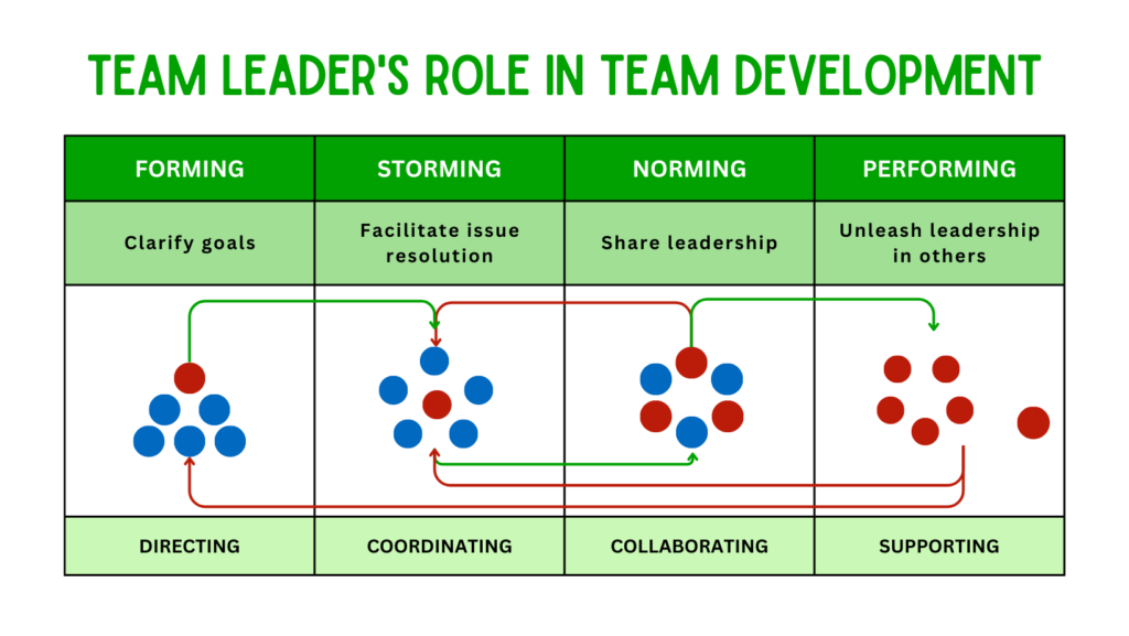Team Leader's Role in Team Development
