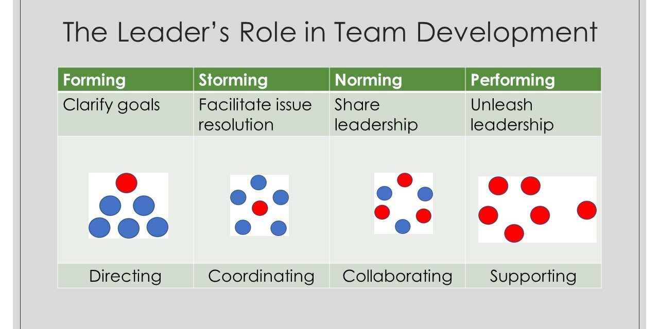 Team Leadership Roles