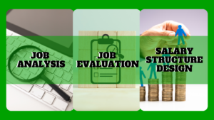 Job Evaluation Program and Salary Structuring Project